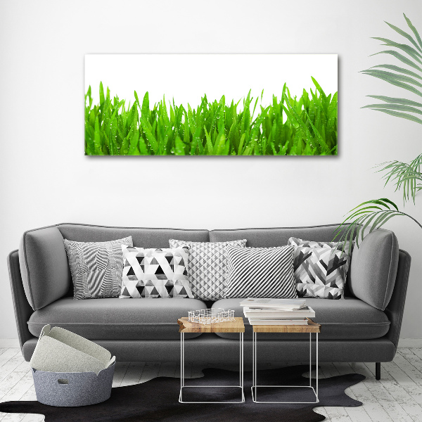 Print on acrylic Grass