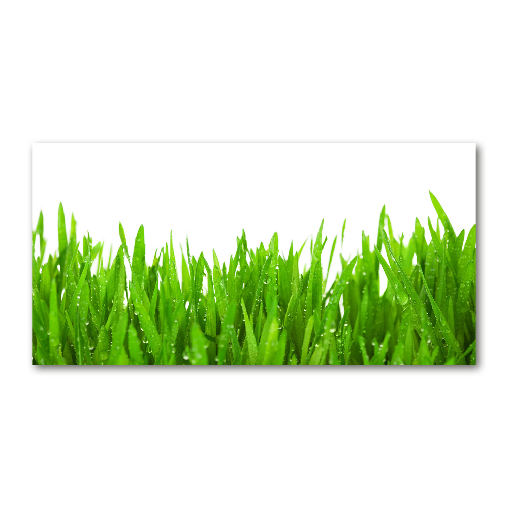 Print on acrylic Grass