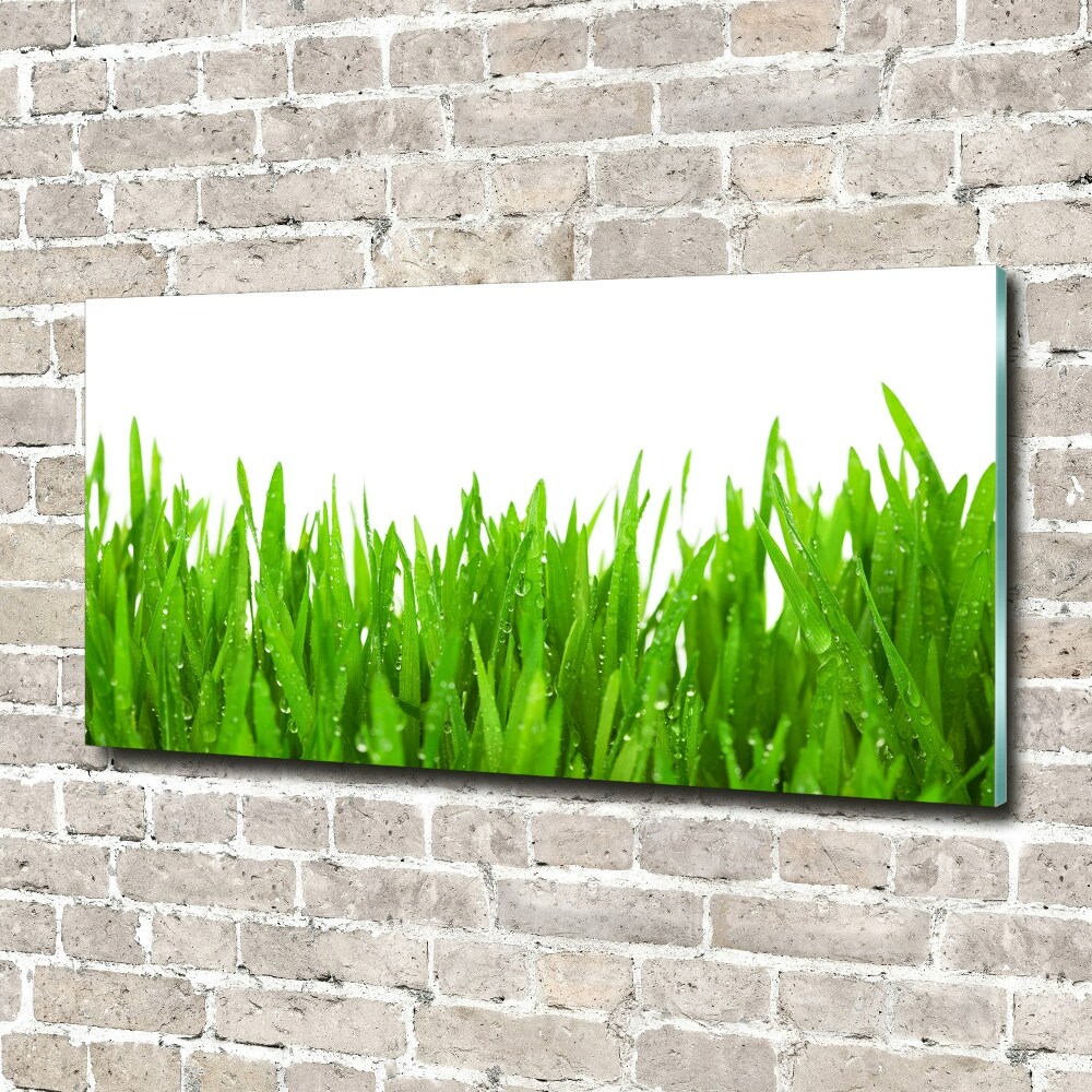 Print on acrylic Grass