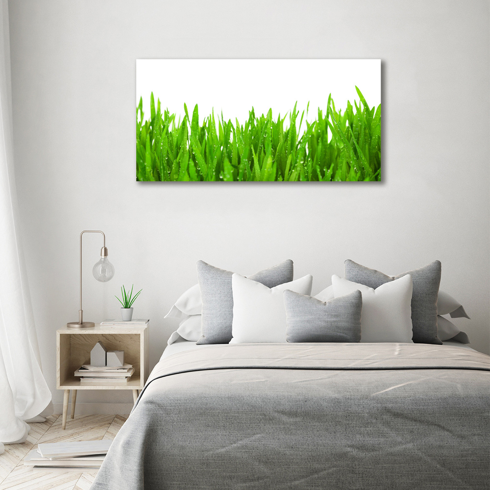 Print on acrylic Grass