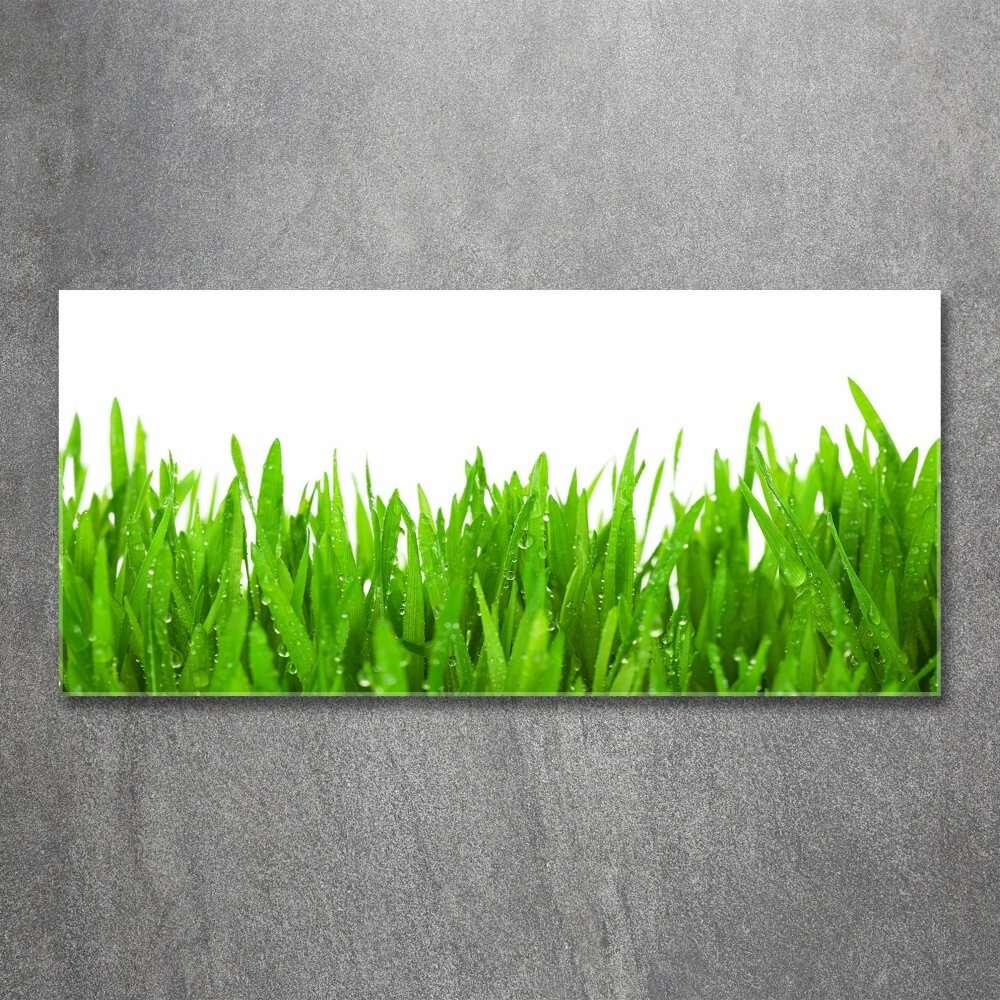 Print on acrylic Grass