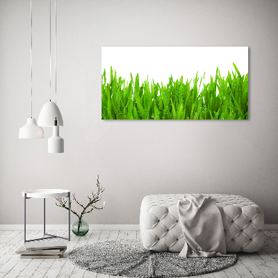 Print on acrylic Grass