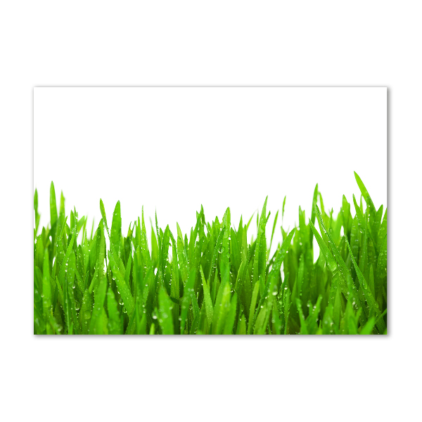 Print on acrylic Grass