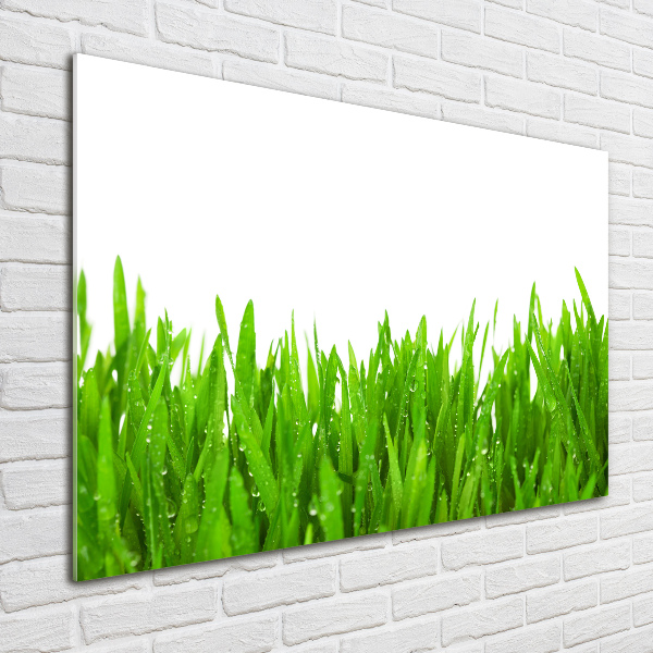 Print on acrylic Grass