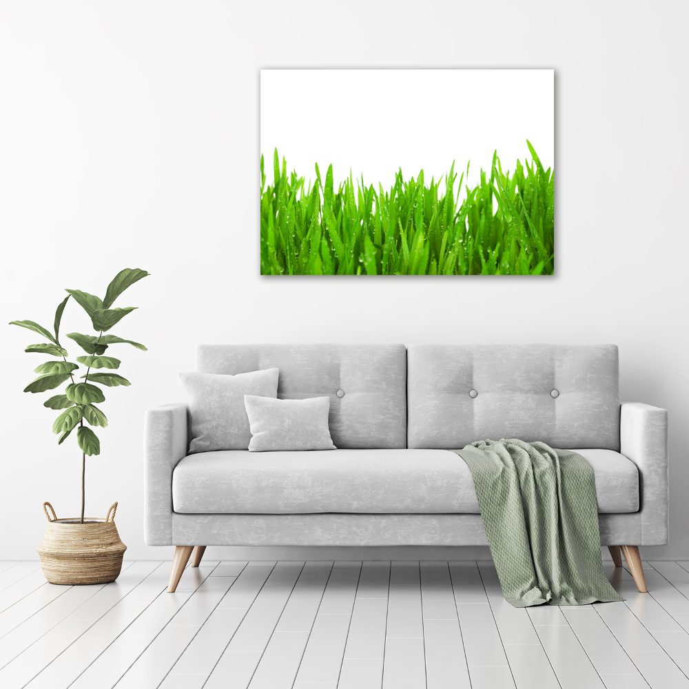 Print on acrylic Grass