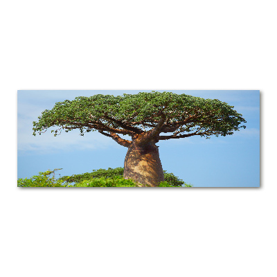 Print on acrylic Baobab