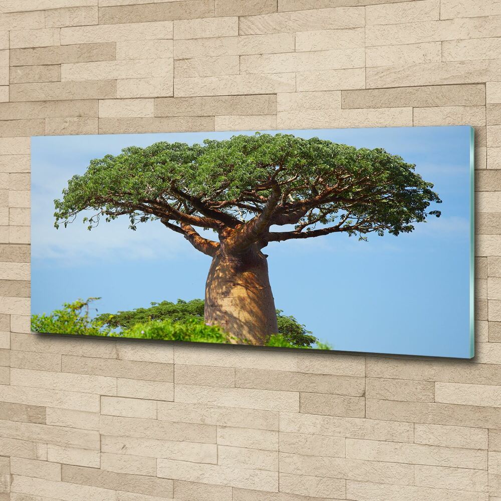 Print on acrylic Baobab