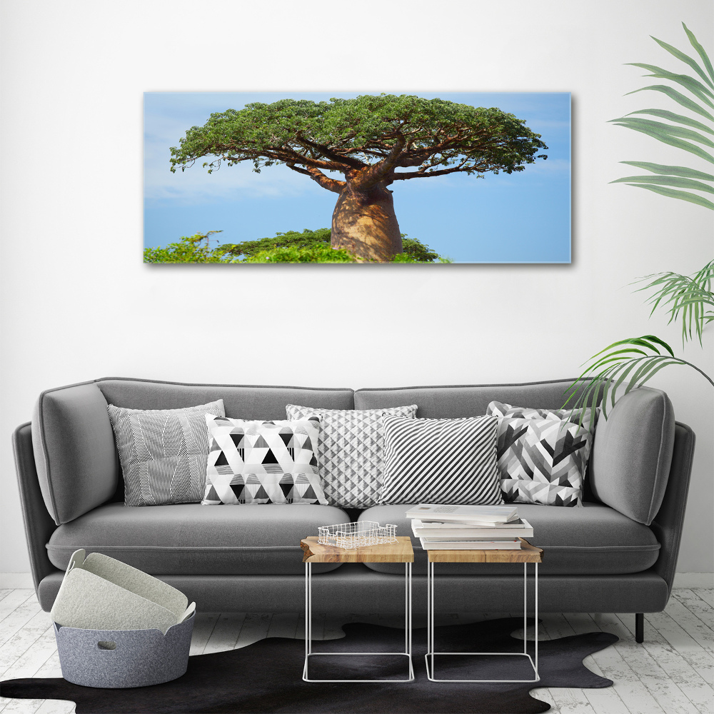 Print on acrylic Baobab