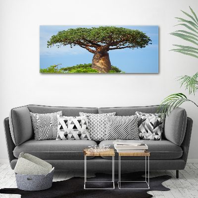 Print on acrylic Baobab