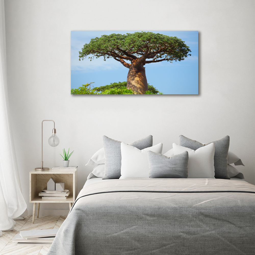 Print on acrylic Baobab