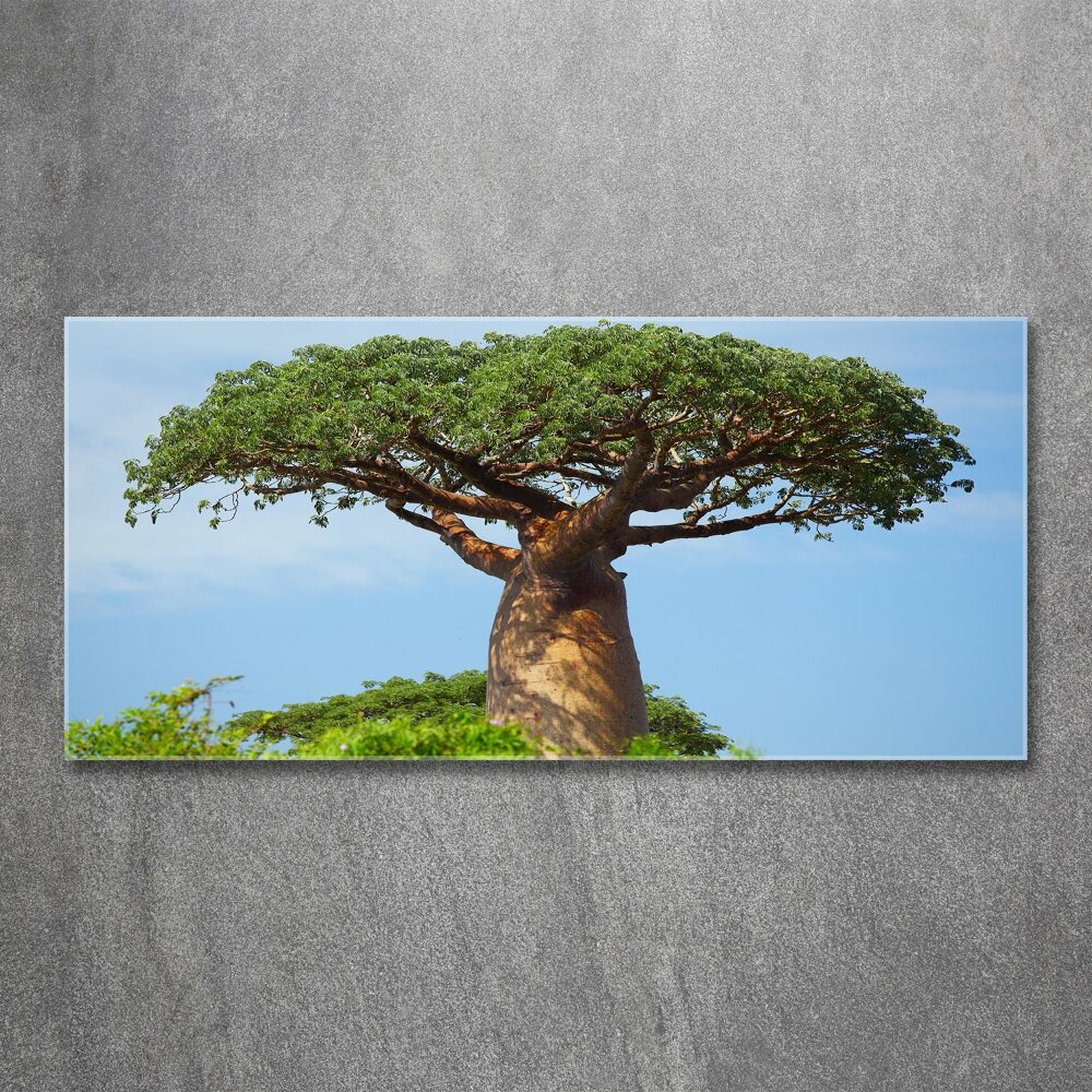 Print on acrylic Baobab