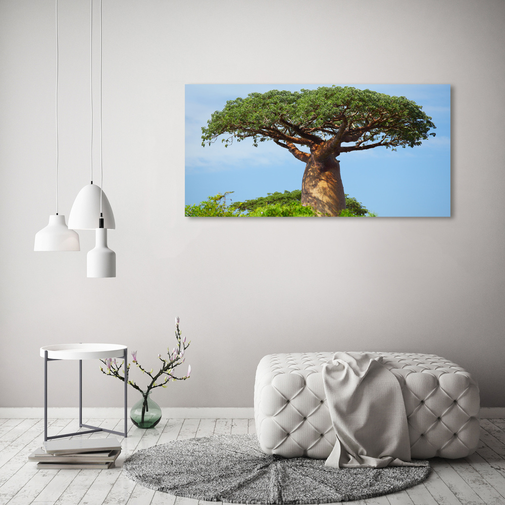 Print on acrylic Baobab