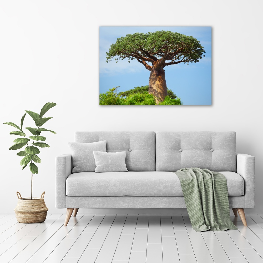 Print on acrylic Baobab