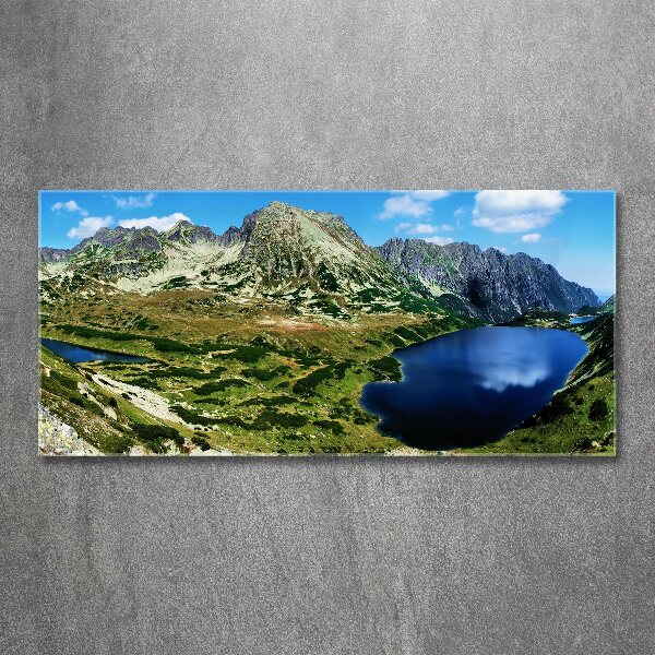 Acrylic print Valley in the mountains