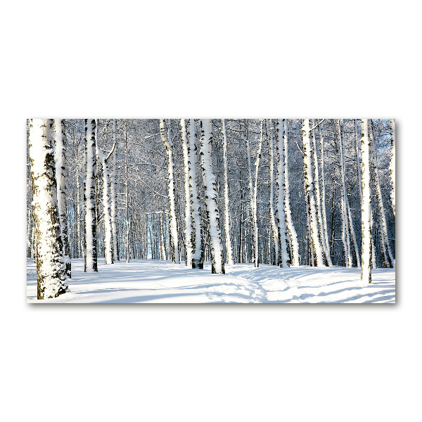 Print on acrylic Forest in winter