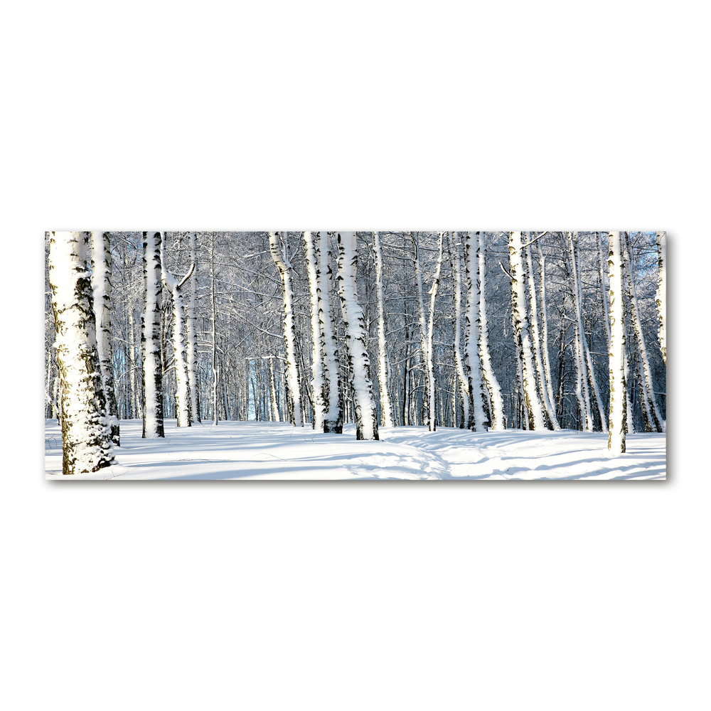 Print on acrylic Forest in winter