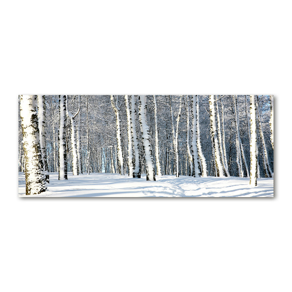 Print on acrylic Forest in winter