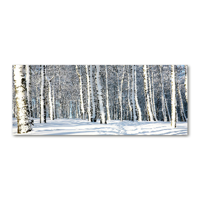 Print on acrylic Forest in winter