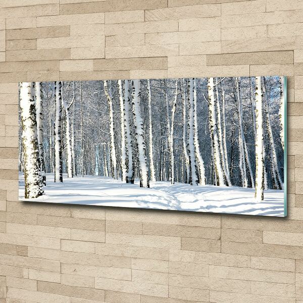 Print on acrylic Forest in winter