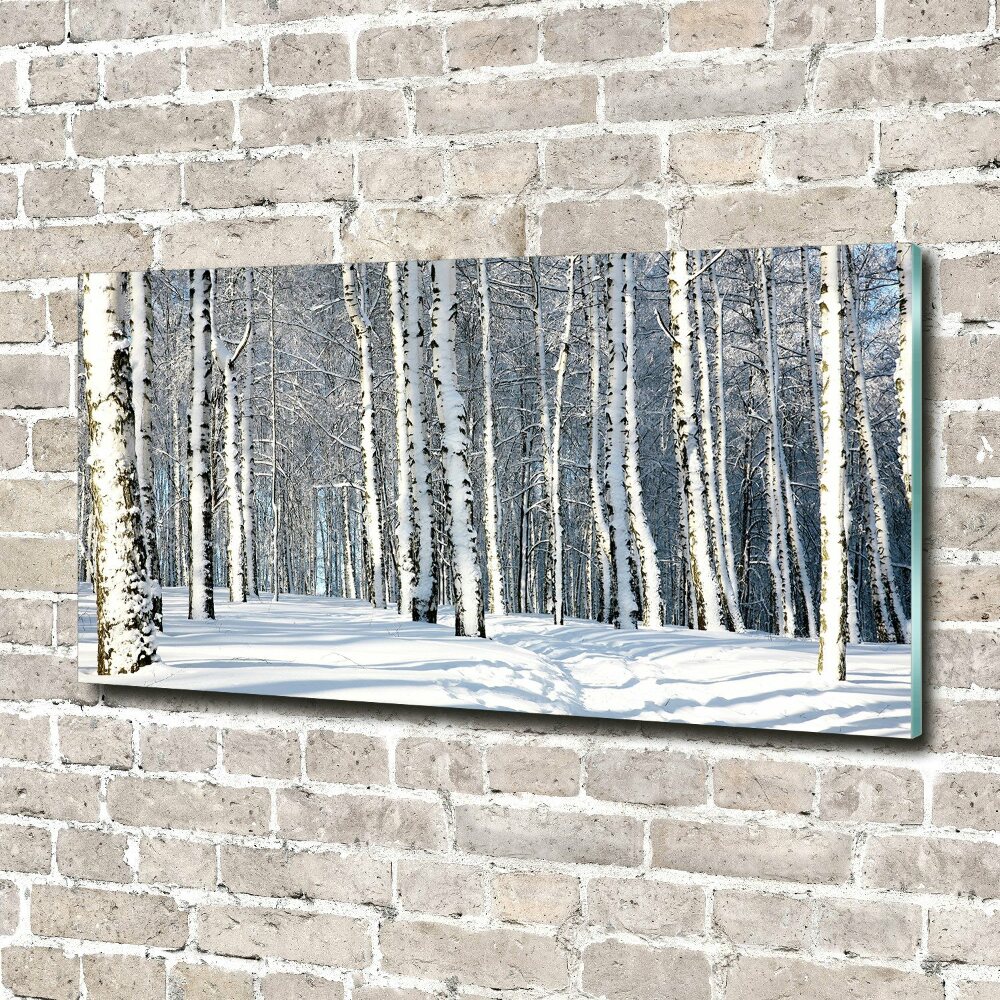 Print on acrylic Forest in winter