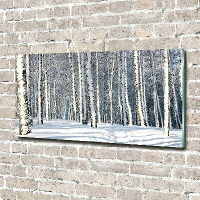 Print on acrylic Forest in winter