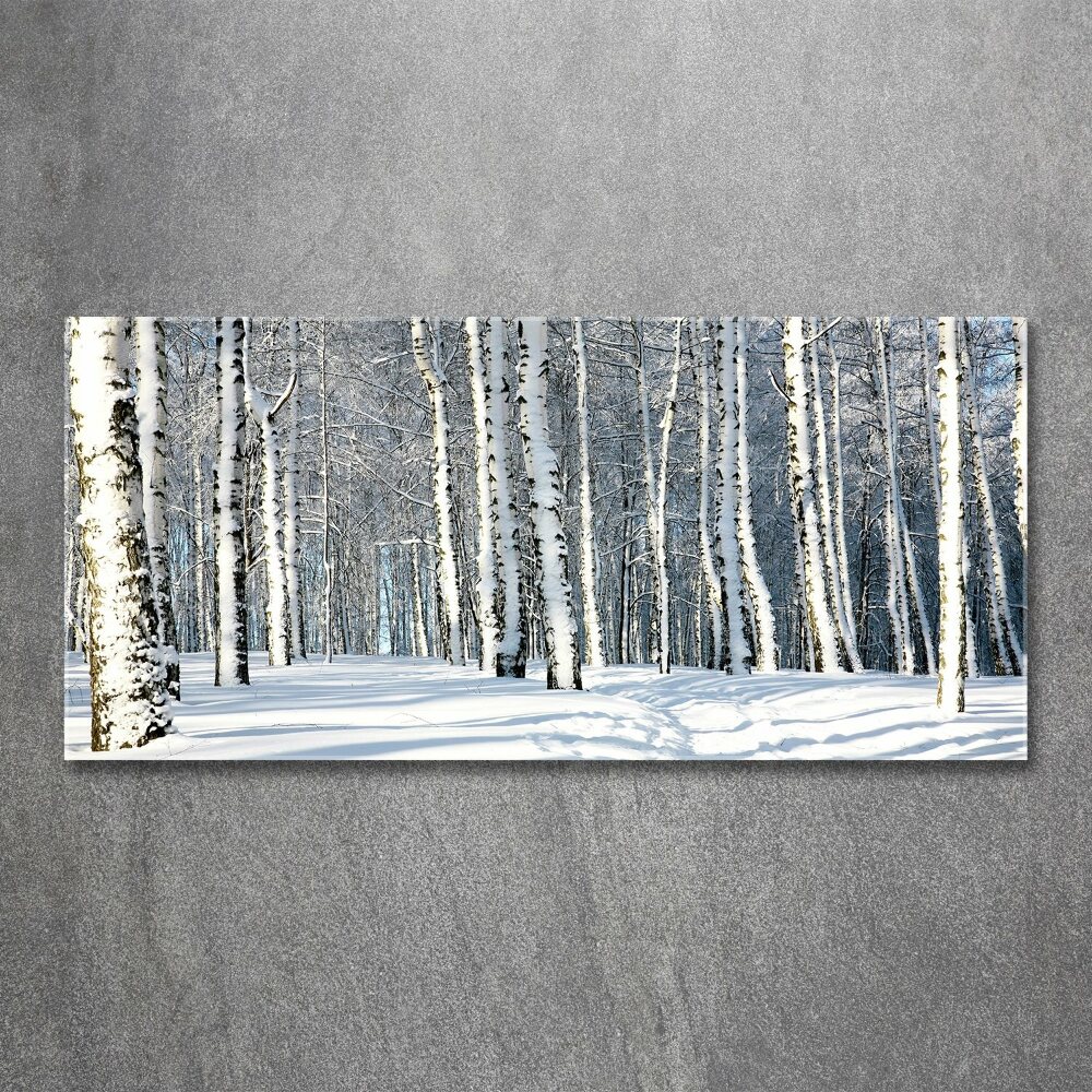 Print on acrylic Forest in winter