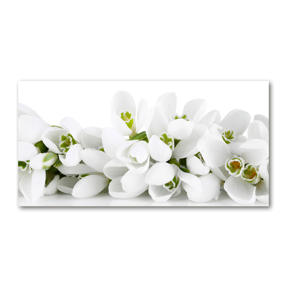 Wall art acrylic Snowdrops