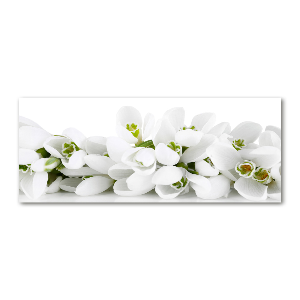 Wall art acrylic Snowdrops