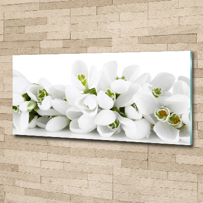 Wall art acrylic Snowdrops