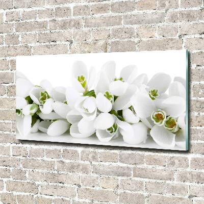 Wall art acrylic Snowdrops