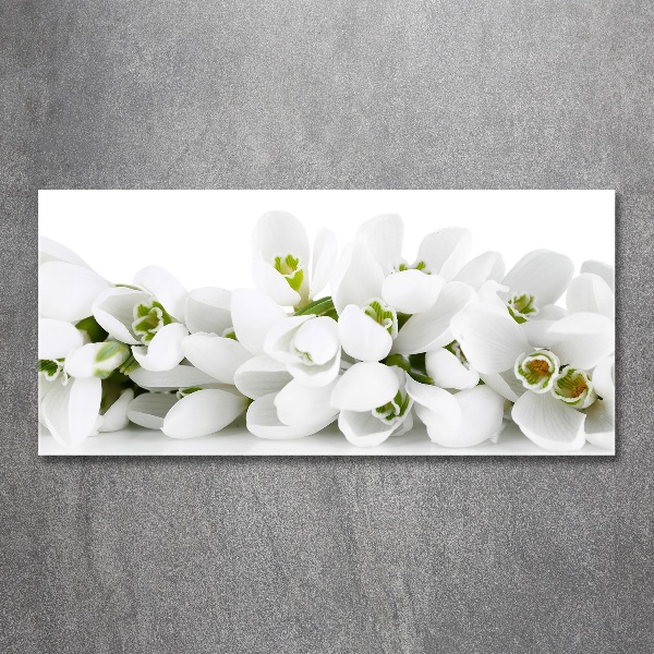 Wall art acrylic Snowdrops