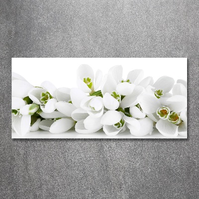 Wall art acrylic Snowdrops