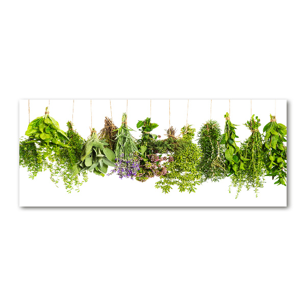 Acrylic wall art Herbs on a string