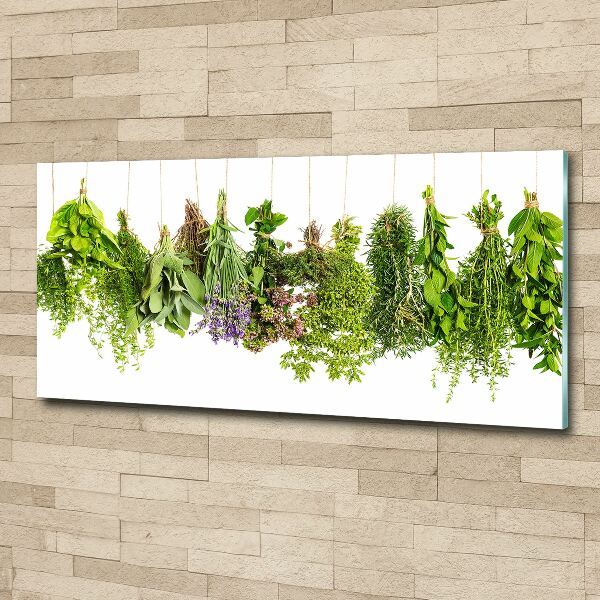 Acrylic wall art Herbs on a string