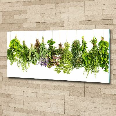 Acrylic wall art Herbs on a string