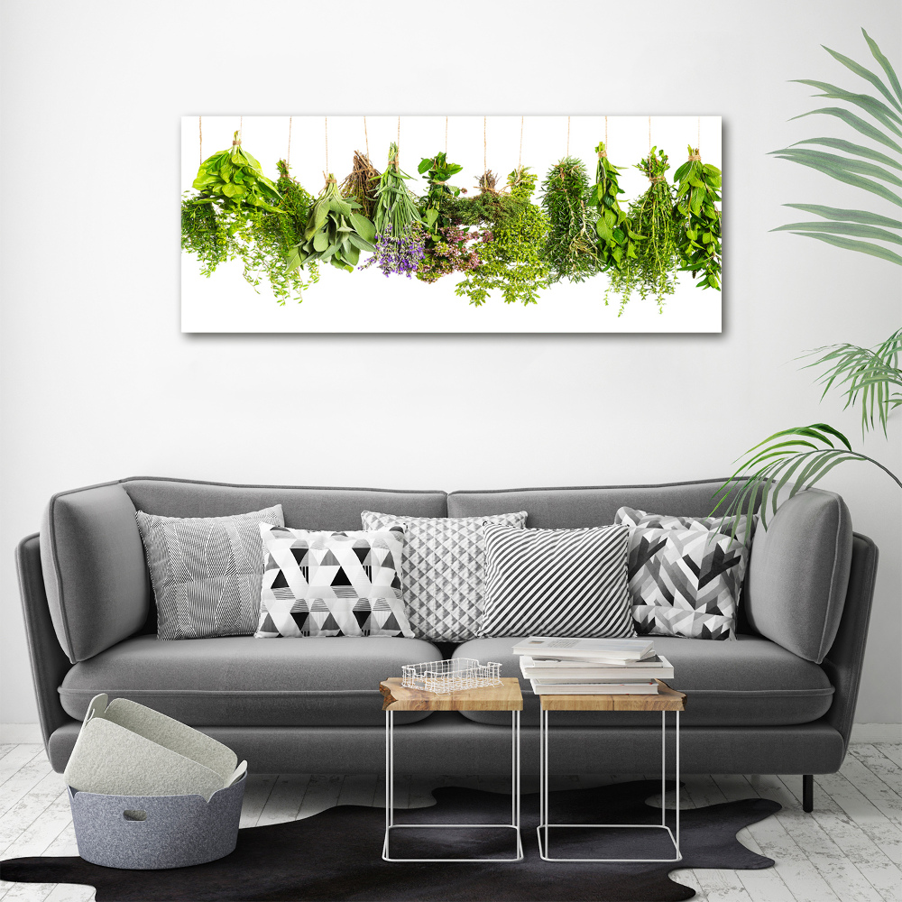 Acrylic wall art Herbs on a string