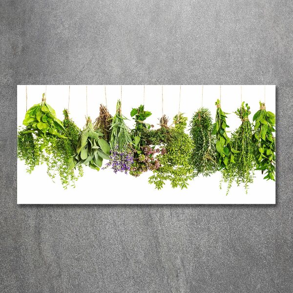 Acrylic wall art Herbs on a string