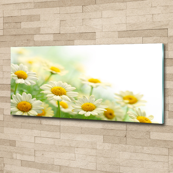 Acrylic wall art Daisy