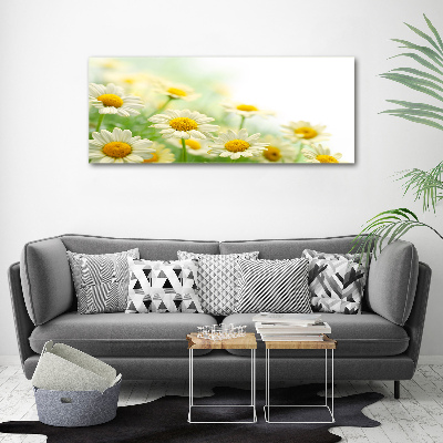 Acrylic wall art Daisy