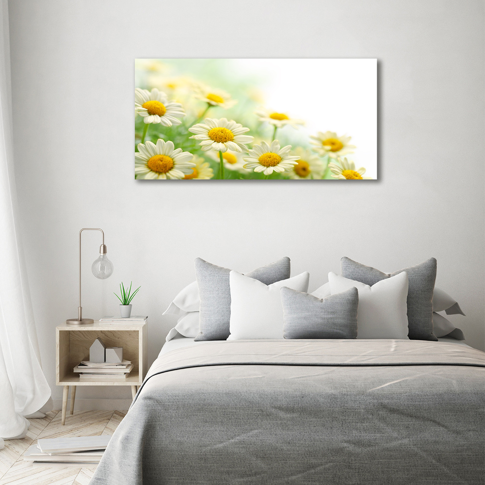 Acrylic wall art Daisy