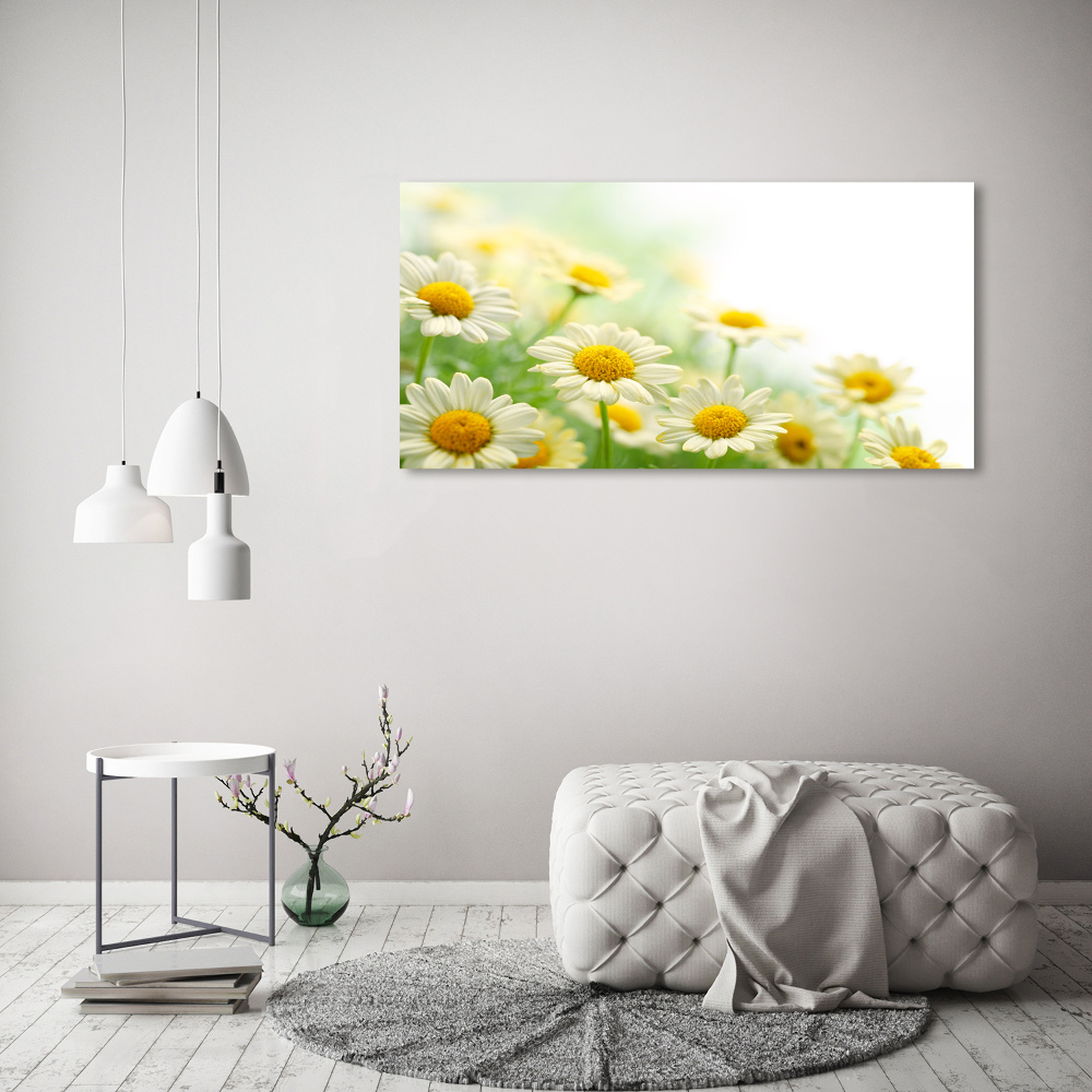 Acrylic wall art Daisy