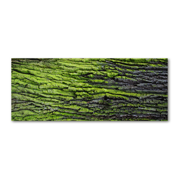 Acrylic print Tree bark