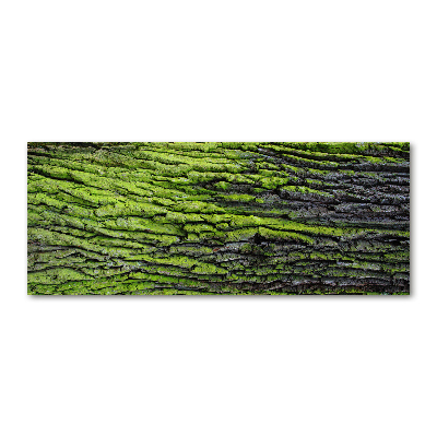 Acrylic print Tree bark