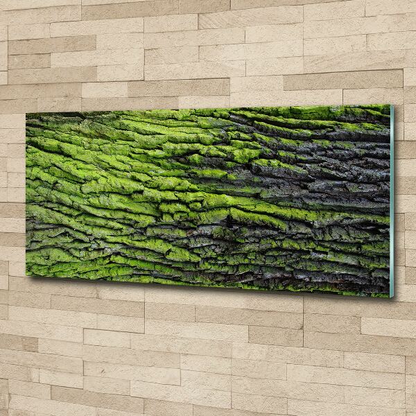 Acrylic print Tree bark