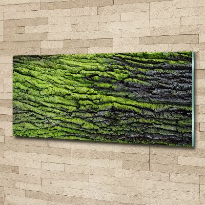 Acrylic print Tree bark