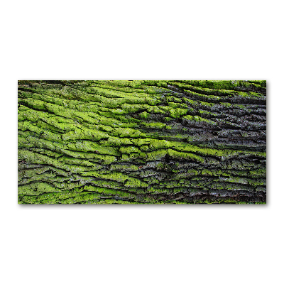 Acrylic print Tree bark