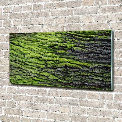 Acrylic print Tree bark