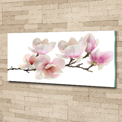 Acrylic print Magnolia