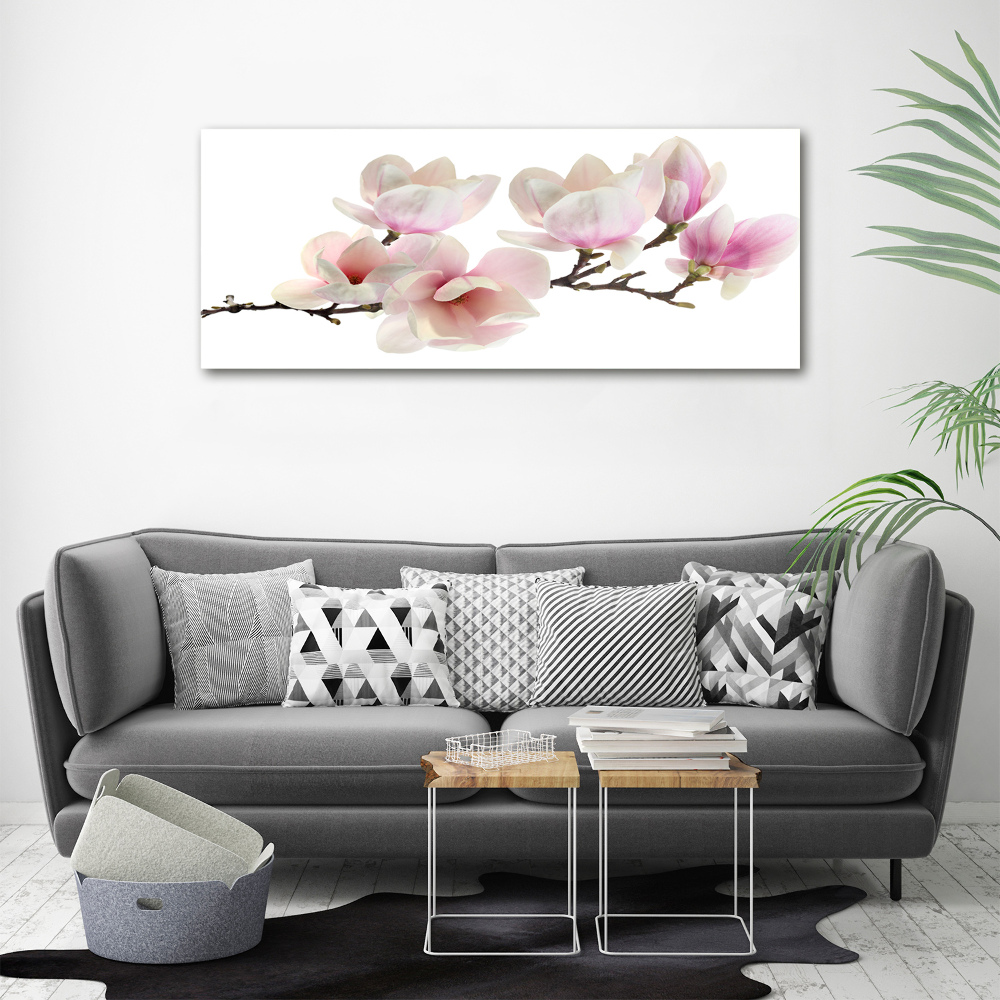 Acrylic print Magnolia