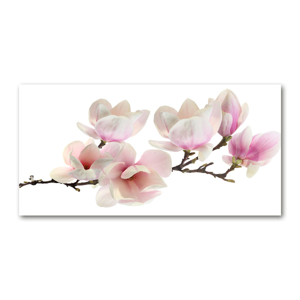 Acrylic print Magnolia